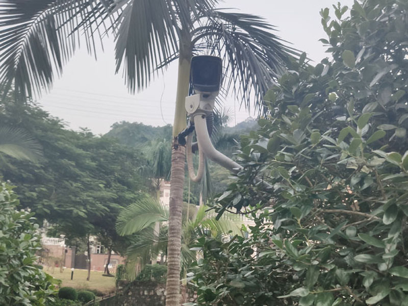 廣龍鑫： 智慧農業新紀元監控科技守護舌尖安全